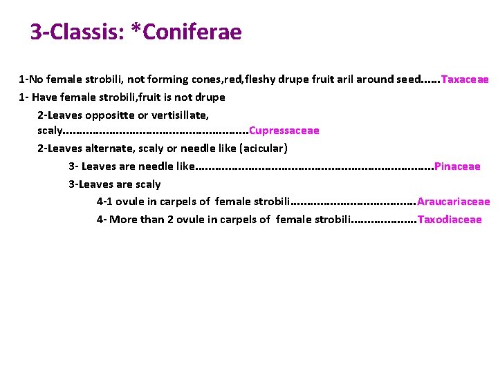 3 -Classis: *Coniferae 1 -No female strobili, not forming cones, red, fleshy drupe fruit