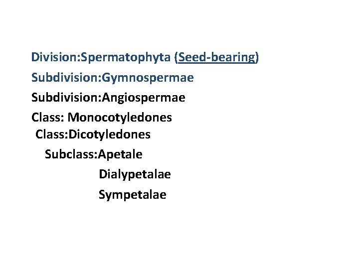 Division: Spermatophyta (Seed-bearing) Subdivision: Gymnospermae Subdivision: Angiospermae Class: Monocotyledones Class: Dicotyledones Subclass: Apetale Dialypetalae