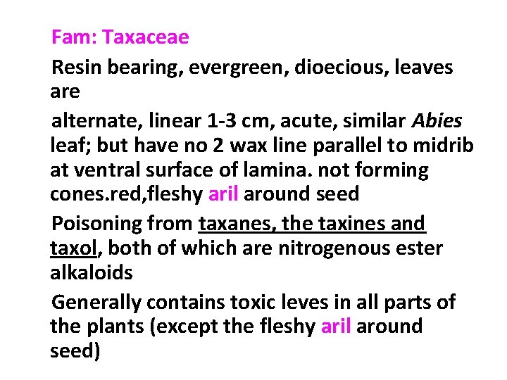 Fam: Taxaceae Resin bearing, evergreen, dioecious, leaves are alternate, linear 1 -3 cm, acute,