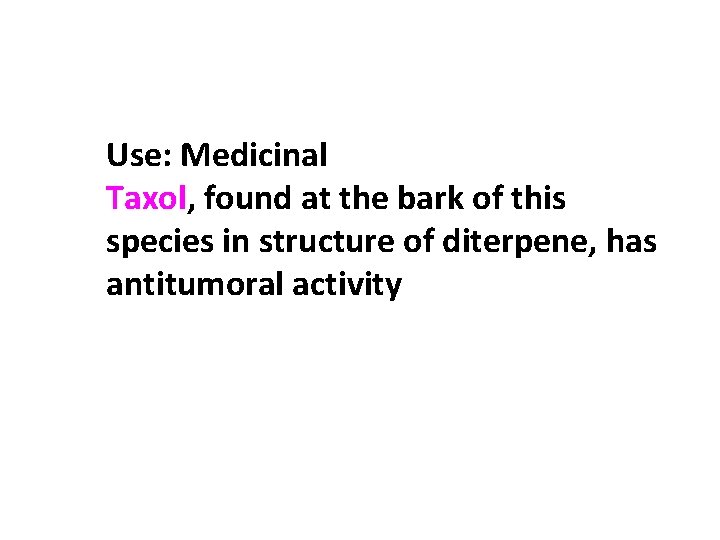 Use: Medicinal Taxol, found at the bark of this species in structure of diterpene,