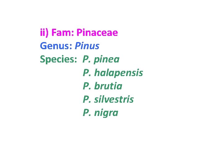 ii) Fam: Pinaceae Genus: Pinus Species: P. pinea P. halapensis P. brutia P. silvestris