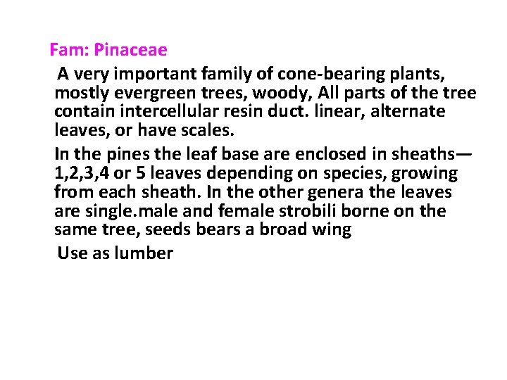 Fam: Pinaceae A very important family of cone-bearing plants, mostly evergreen trees, woody, All