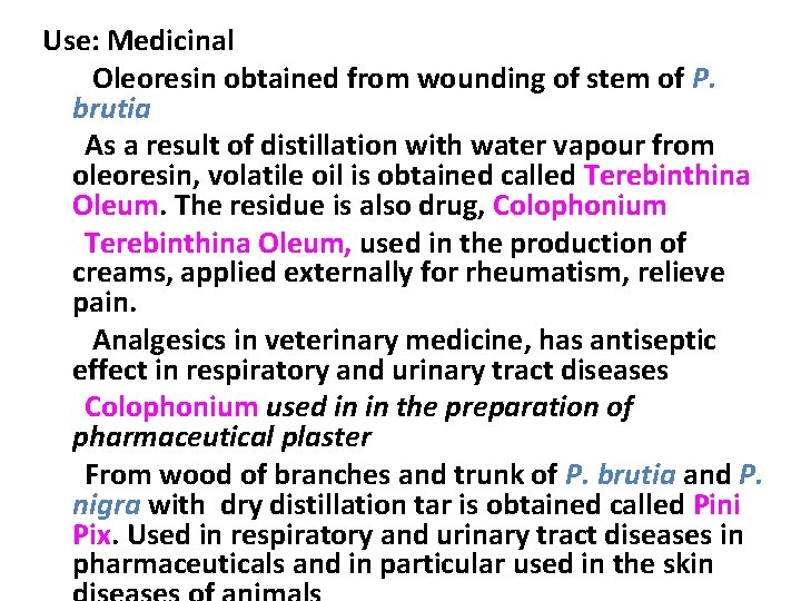 Use: Medicinal Oleoresin obtained from wounding of stem of P. brutia As a result