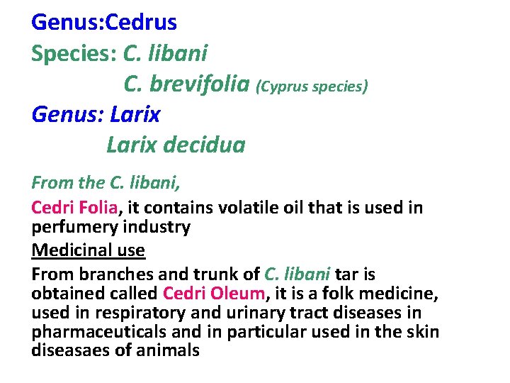 Genus: Cedrus Species: C. libani C. brevifolia (Cyprus species) Genus: Larix decidua From the