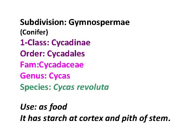 Subdivision: Gymnospermae (Conifer) 1 -Class: Cycadinae Order: Cycadales Fam: Cycadaceae Genus: Cycas Species: Cycas