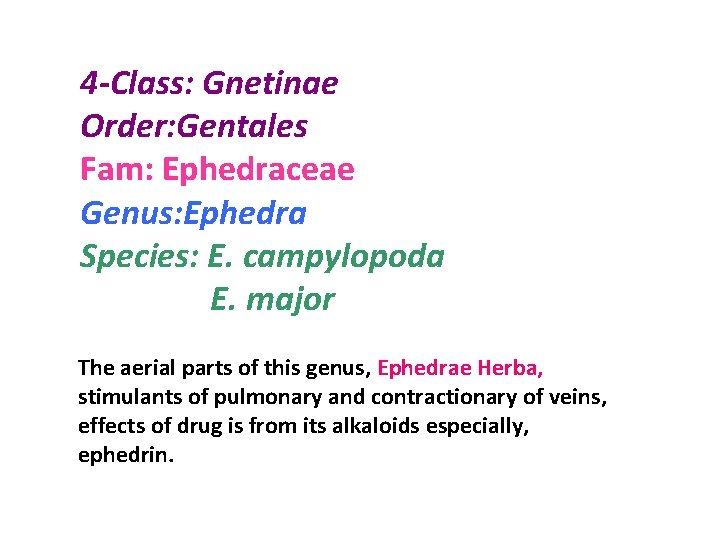 4 -Class: Gnetinae Order: Gentales Fam: Ephedraceae Genus: Ephedra Species: E. campylopoda E. major
