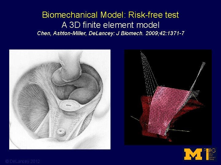 Biomechanical Model: Risk-free test A 3 D finite element model Chen, Ashton-Miller, De. Lancey: