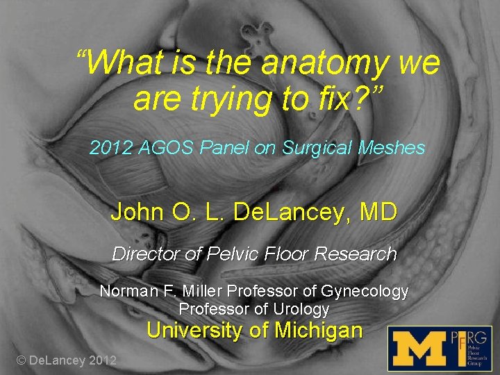 “What is the anatomy we are trying to fix? ” 2012 AGOS Panel on