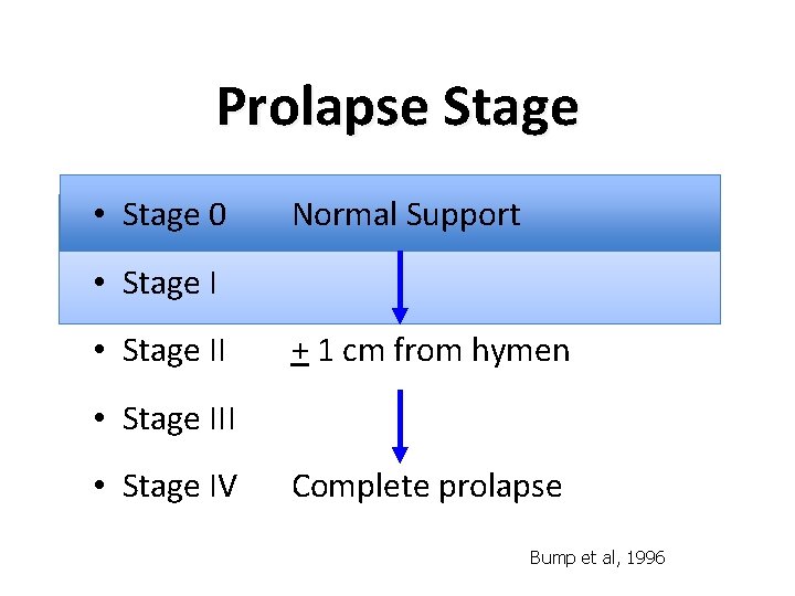 Prolapse Stage • Stage 0 Normal Support • Stage II + 1 cm from