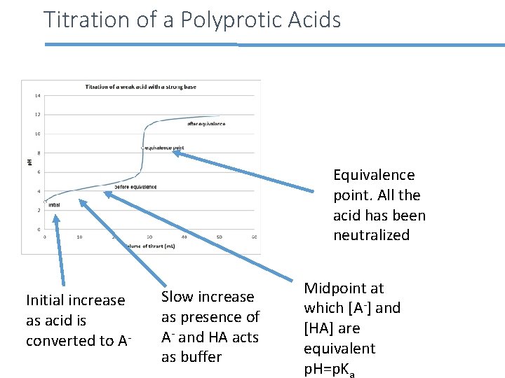 Titration of a Polyprotic Acids Equivalence point. All the acid has been neutralized Initial