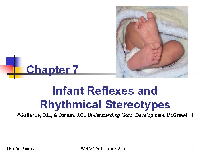 Chapter 7 Infant Reflexes and Rhythmical Stereotypes ©Gallahue, D. L. , & Ozmun, J.