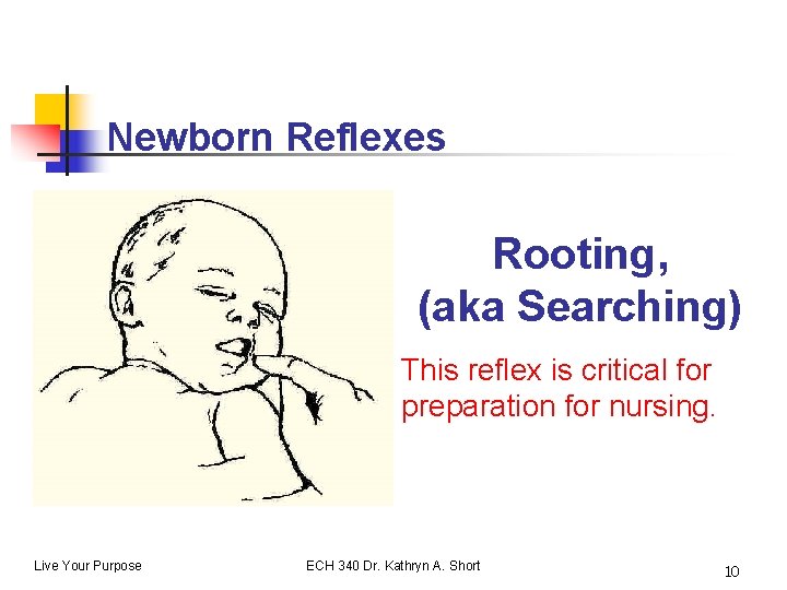 Newborn Reflexes Rooting, (aka Searching) This reflex is critical for preparation for nursing. Live