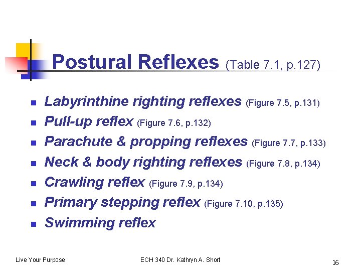 Postural Reflexes (Table 7. 1, p. 127) n n n n Labyrinthine righting reflexes