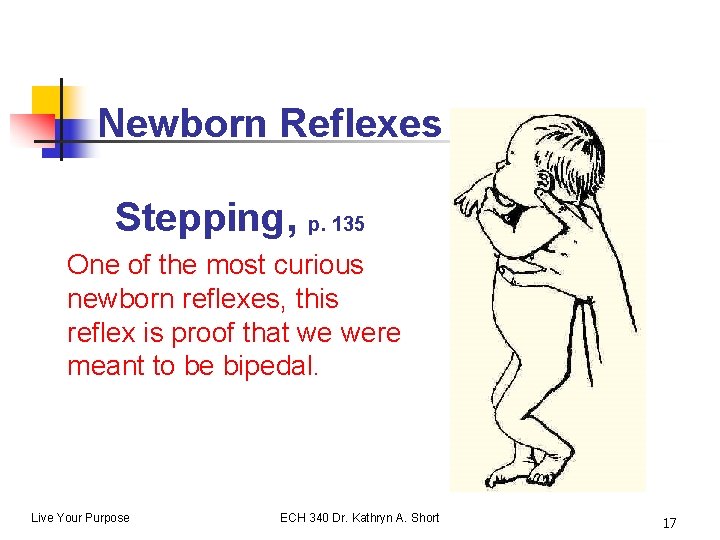 Newborn Reflexes Stepping, p. 135 One of the most curious newborn reflexes, this reflex