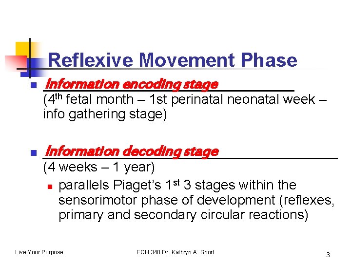 Reflexive Movement Phase n Information encoding stage _______________ (4 th fetal month – 1