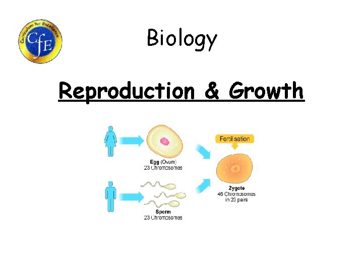 Biology Reproduction & Growth 