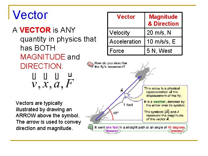 Vector A VECTOR is ANY quantity in physics that has BOTH MAGNITUDE and DIRECTION.