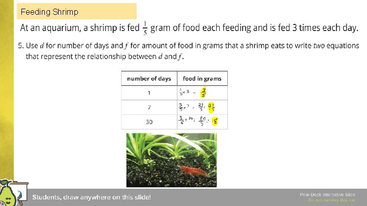 Feeding Shrimp Feeding Shrimp