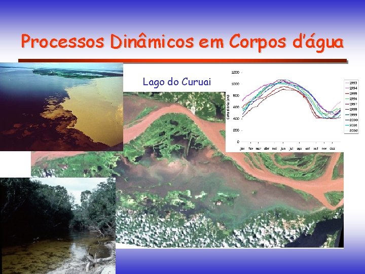 Processos Dinâmicos em Corpos d’água Lago do Curuai 