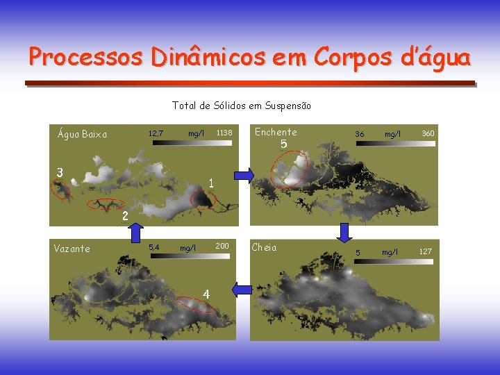 Processos Dinâmicos em Corpos d’água Total de Sólidos em Suspensão Água Baixa Vazante 12,