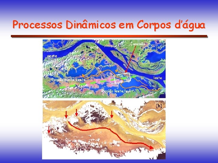 Processos Dinâmicos em Corpos d’água 