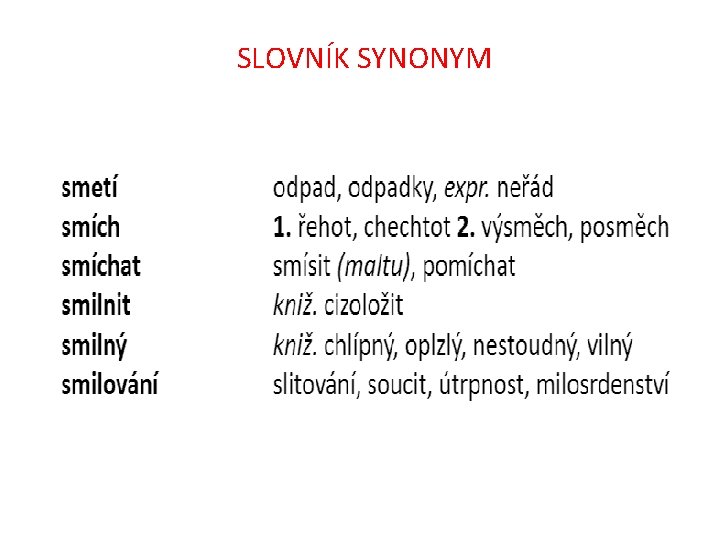 SLOVNÍK SYNONYM 