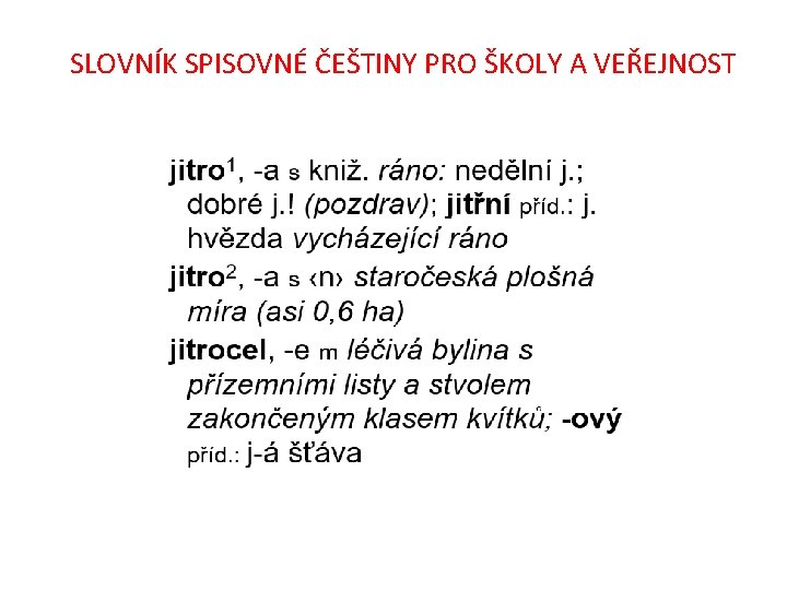 SLOVNÍK SPISOVNÉ ČEŠTINY PRO ŠKOLY A VEŘEJNOST 