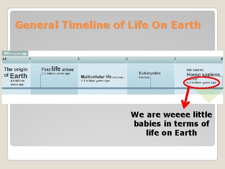 General Timeline of Life On Earth We are weeee little babies in terms of