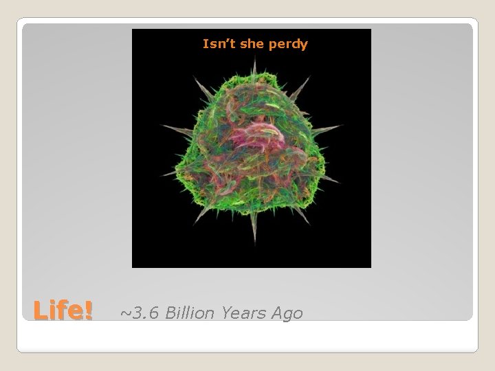 Isn’t she perdy Life! ~3. 6 Billion Years Ago 