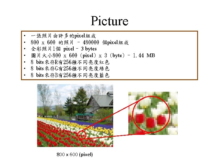 Picture • • 一張照片由許多的pixel組成 800 x 600 的照片 = 480000 個pixel組成 全彩照片1個 pixel =