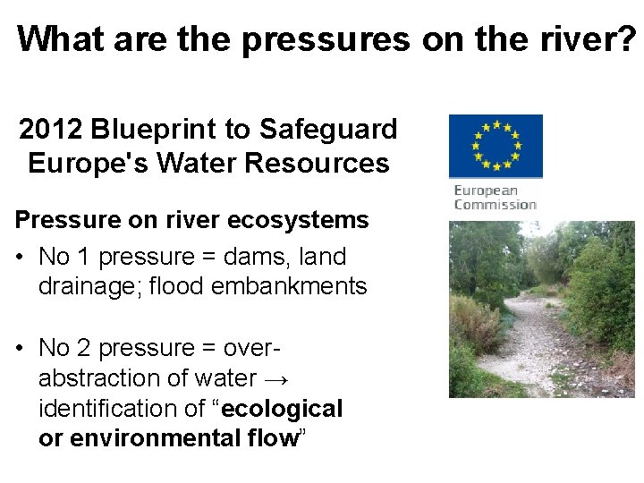 What are the pressures on the river? 2012 Blueprint to Safeguard Europe's Water Resources