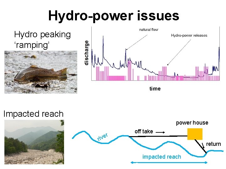Hydro-power issues Hydro peaking ‘ramping’ Impacted reach power house riv er off take return