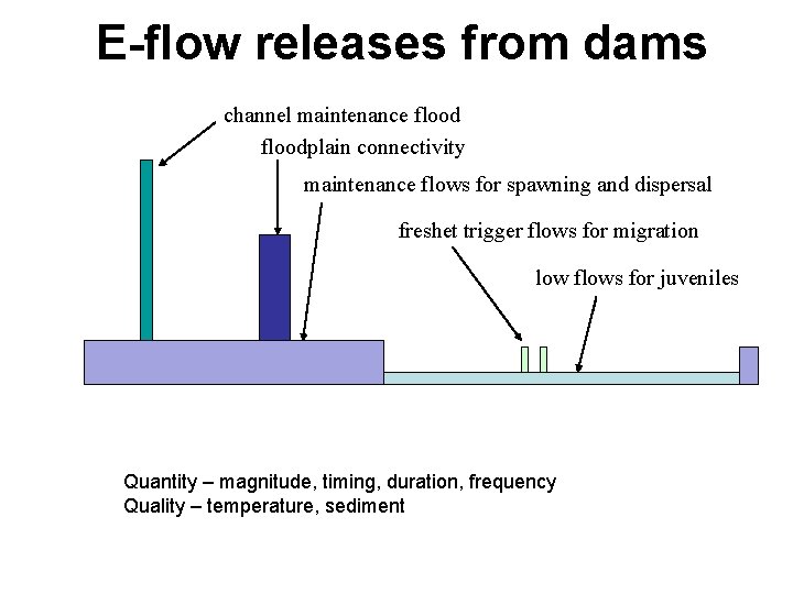 E-flow releases from dams channel maintenance floodplain connectivity maintenance flows for spawning and dispersal