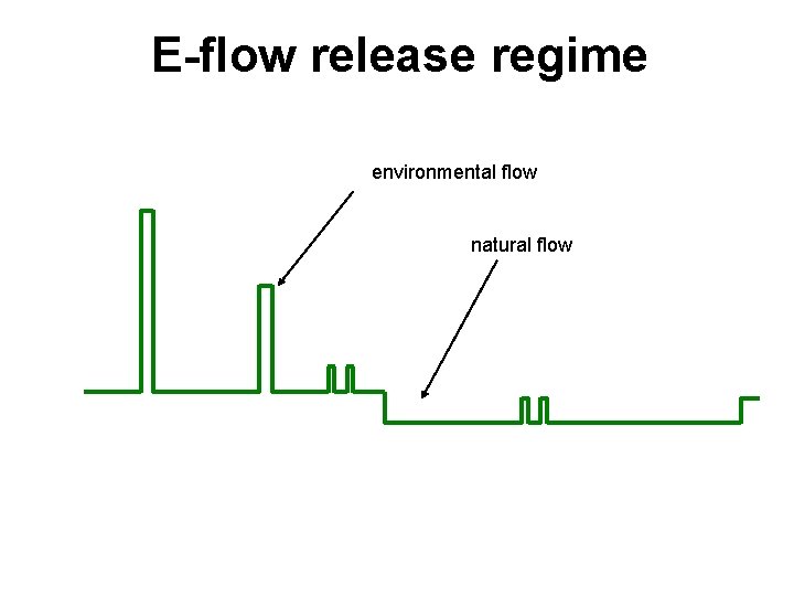 E-flow release regime environmental flow natural flow 