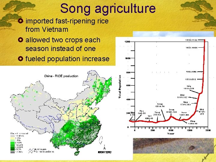 Song agriculture £ imported fast-ripening rice from Vietnam £ allowed two crops each season