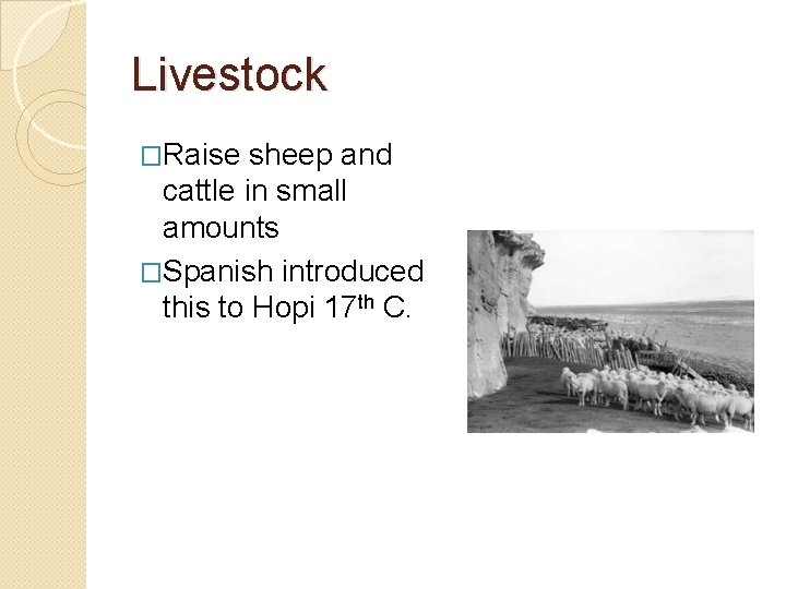 Livestock �Raise sheep and cattle in small amounts �Spanish introduced this to Hopi 17