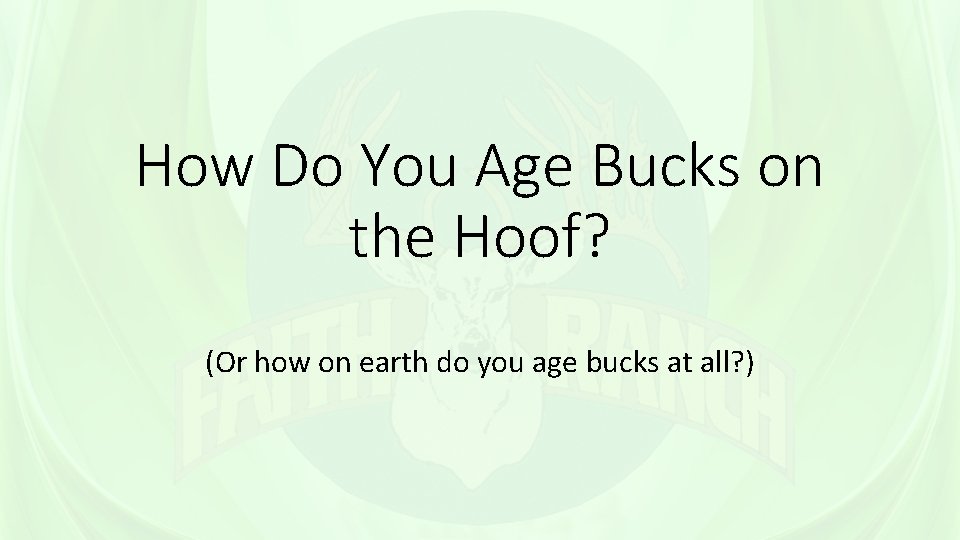 How Do You Age Bucks on the Hoof? (Or how on earth do you