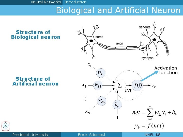 Neural Networks Introduction Biological and Artificial Neuron Structure of Biological neuron Activation function Structure