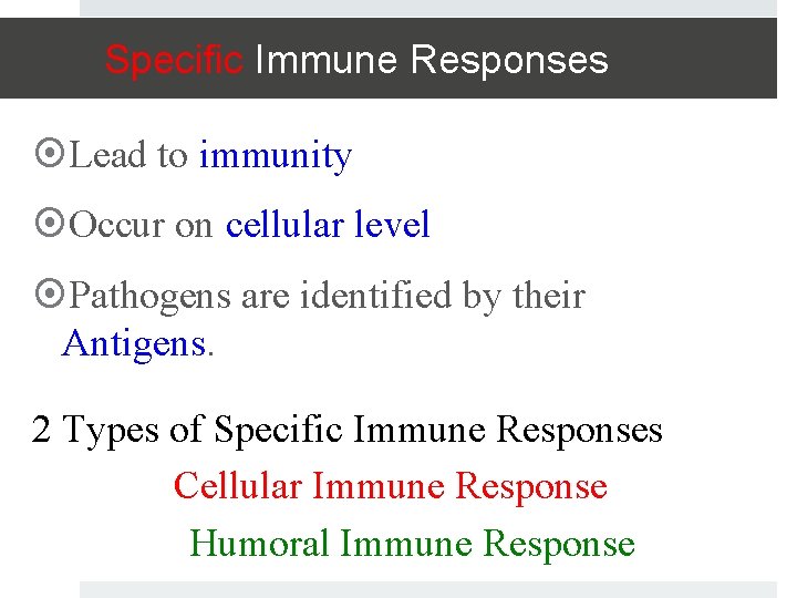 Specific Immune Responses Lead to immunity Occur on cellular level Pathogens are identified by