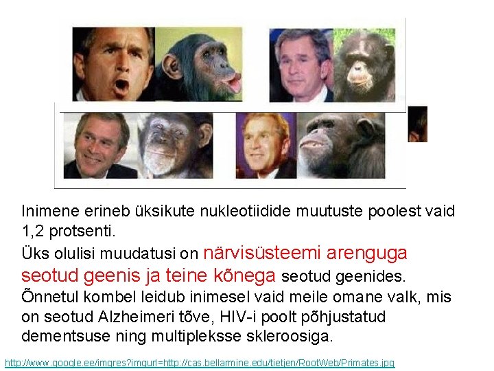 Inimene erineb üksikute nukleotiidide muutuste poolest vaid 1, 2 protsenti. Üks olulisi muudatusi on