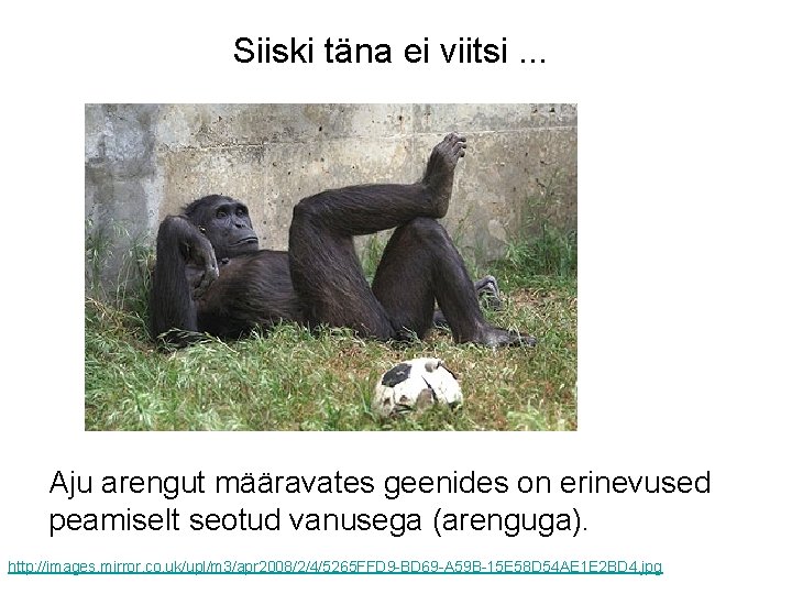 Siiski täna ei viitsi. . . Aju arengut määravates geenides on erinevused peamiselt seotud