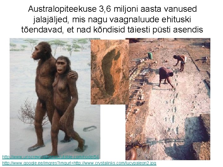 Australopiteekuse 3, 6 miljoni aasta vanused jalajäljed, mis nagu vaagnaluude ehituski tõendavad, et nad