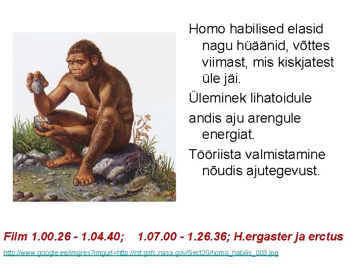 Homo habilised elasid nagu hüäänid, võttes viimast, mis kiskjatest üle jäi. Üleminek lihatoidule andis