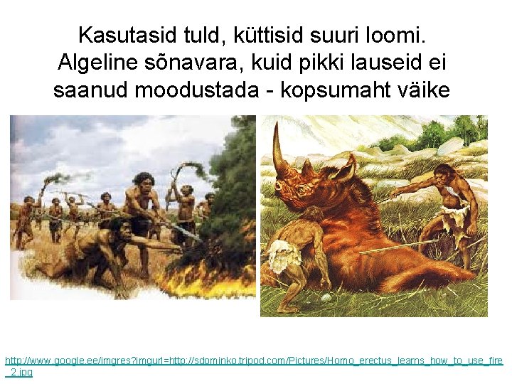 Kasutasid tuld, küttisid suuri loomi. Algeline sõnavara, kuid pikki lauseid ei saanud moodustada -