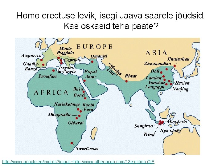 Homo erectuse levik, isegi Jaava saarele jõudsid. Kas oskasid teha paate? http: //www. google.