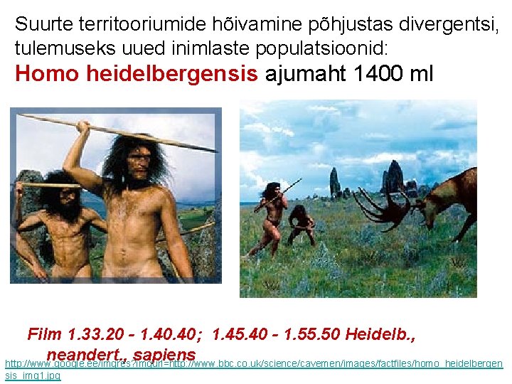 Suurte territooriumide hõivamine põhjustas divergentsi, tulemuseks uued inimlaste populatsioonid: Homo heidelbergensis ajumaht 1400 ml