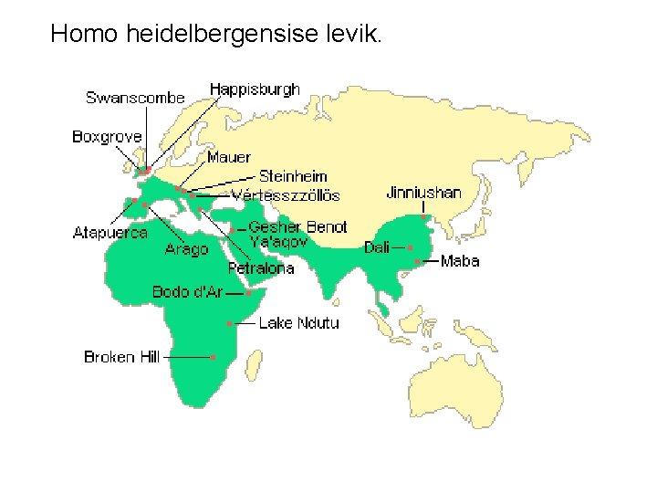 Homo heidelbergensise levik. 