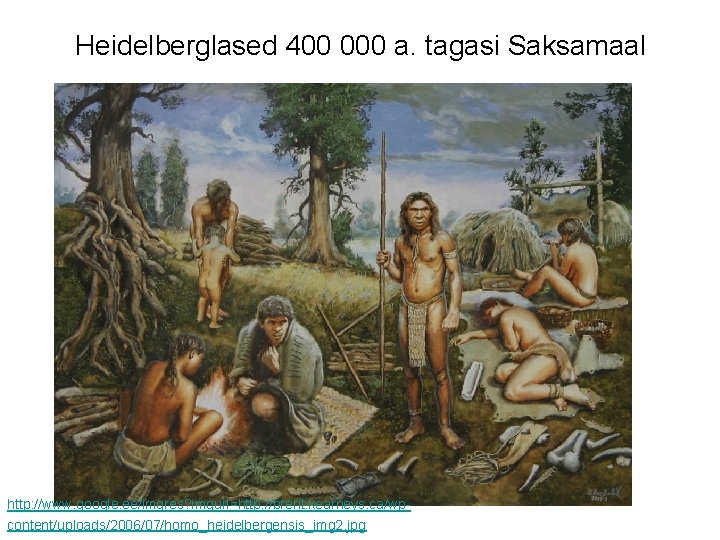 Heidelberglased 400 000 a. tagasi Saksamaal http: //www. google. ee/imgres? imgurl=http: //brent. kearneys. ca/wpcontent/uploads/2006/07/homo_heidelbergensis_img