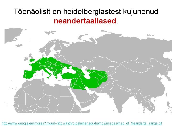 Tõenäolislt on heidelberglastest kujunenud neandertaallased. Leviku kaart http: //www. google. ee/imgres? imgurl=http: //anthro. palomar.