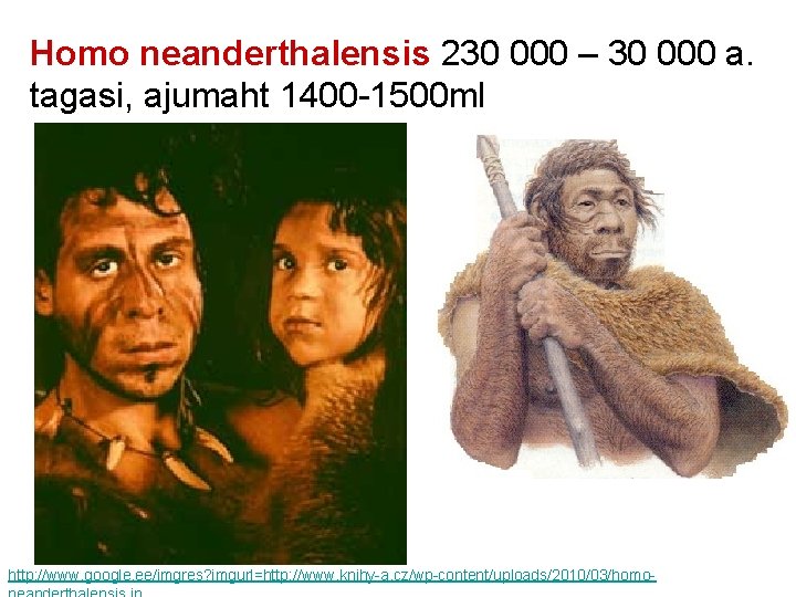 Homo neanderthalensis 230 000 – 30 000 a. tagasi, ajumaht 1400 -1500 ml http: